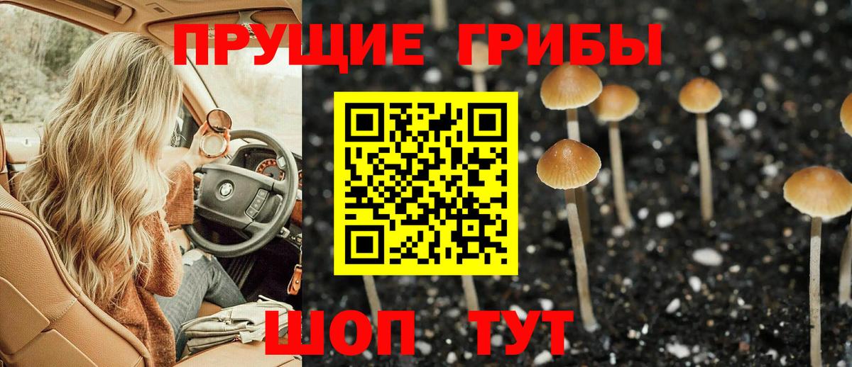 купить закладку  Галлюциногенные грибы Psilocybe  Вход с VPN  Краснокаменск 