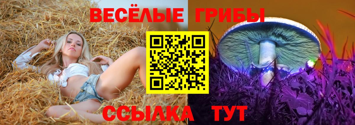 Псилоцибиновые грибы прущие грибы Краснокаменск