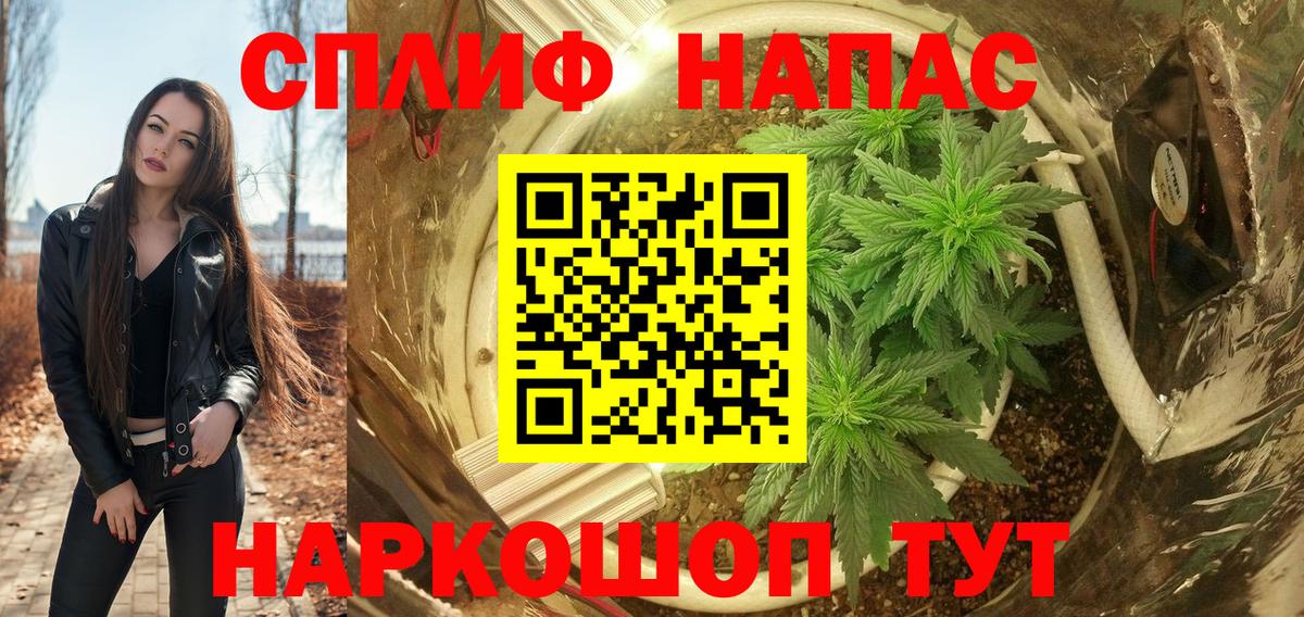 Каннабис план Краснокаменск